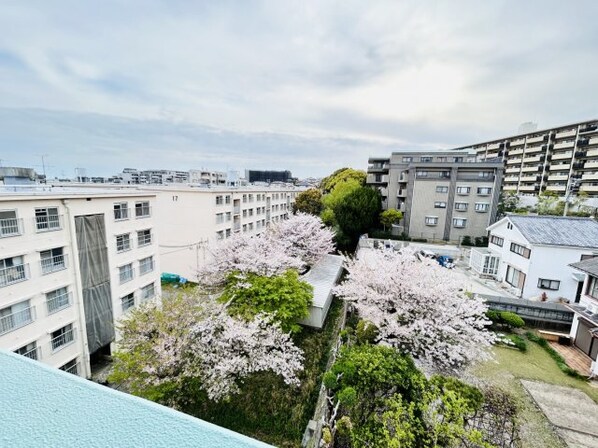 夙川駅 徒歩10分 5階の物件内観写真